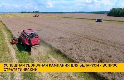 Уборочная-2022: непогода немного сбавила темп, но при первой возможности аграрии ускорятся - ont.by - Белоруссия
