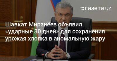 Президент объявил «ударные 30 дней» для сохранения урожая хлопка в аномальную жару - gazeta.uz - Узбекистан
