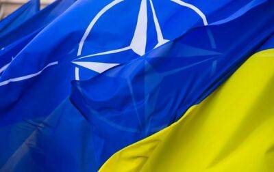 Борис Джонсон - Литва - Польша и Литва помогут Украине начать переговоры о вступлении в НАТО - korrespondent.net - Украина - Англия - Польша - Литва - Вильнюс