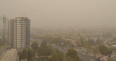 До 31 июля в отдельных районах Таджикистана сохранится пыльная буря и мгла - dialog.tj - Душанбе - Таджикистан - Хатлонской обл.