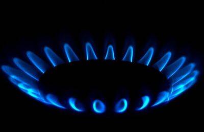 Айгарс Калвитис - Латвийская компания Latvijas gаze признала, что возобновила закупку газа у России - ont.by - Россия - Белоруссия - Латвия