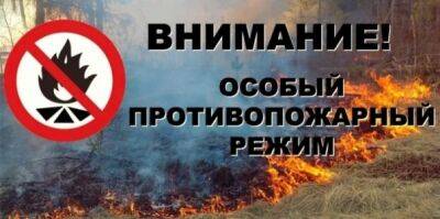 Вниманию кунгуряков: с 1 августа в лесах на территории Пермского края установлен особый противопожарный режим! - iskra-kungur.ru - Пермь - Пермский край