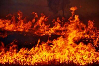 Лісова пожежа в Туреччині перекинулася на готель із відпочиваючими - lenta.ua - Украина