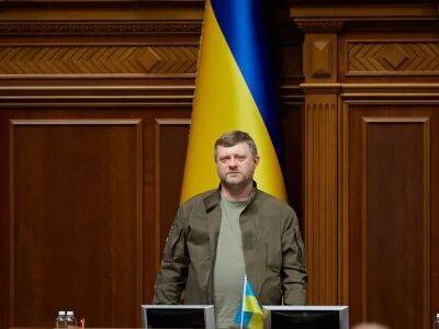 Людмила Денисова - Александр Корниенко - Корниенко: Я не уверен, что была польза как от деятельности Денисовой, так и от обсуждения этого вопроса - gordonua.com - Россия - Украина - Кременчуг