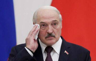 Евгений Медведев - Лукашенко - Лукашенко утверждает, в Украине будут «рады» вторжению белорусских войск - lenta.ua - Россия - Украина - Львов - Белоруссия