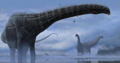 Пережили всех соперников. Ученые разгадали секрет господства динозавров - focus.ua - Китай - Украина