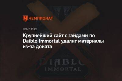 Крупнейший сайт с гайдами по Daiblo Immortal удалит материалы из-за доната - championat.com