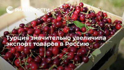 Турция в июне увеличила на 46 процентов экспорт товаров в Россию - smartmoney.one - Россия - Китай - Казахстан - Белоруссия - Турция - Германия
