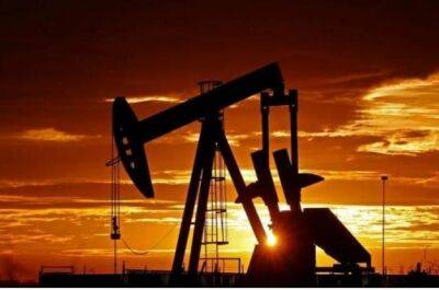 Владимир Зеленский - Фумио Кисид - G7 может установить для российской нефти лимит на уровне половины нынешней цены - minfin.com.ua - Россия - Украина - Япония