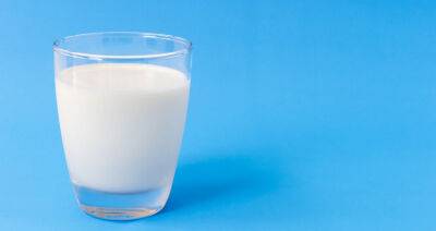 Сделки молочного рынка в первой половине 2022 года - produkt.by - Китай - Белоруссия - Бразилия - Голландия - Шанхай - Shanghai - Тяньцзинь