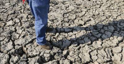 Марио Драги - Италию накрыла самая мощная за 70 лет засуха. На севере страны введен режим ЧС - rus.delfi.lv - Италия - Латвия