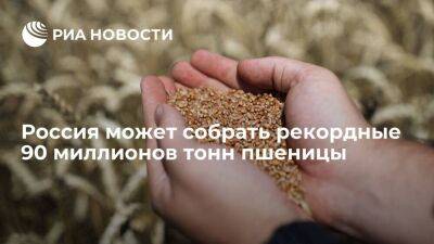 "Русагротранс": Россия в 2022 году может собрать рекордные 90 миллионов тонн пшеницы - smartmoney.one - Россия - Ростовская обл. - Ставрополье