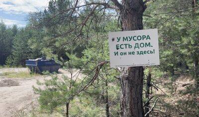Волонтеры спасают озеро Андреевское от мусора - nashgorod.ru - Тюмень - Экология