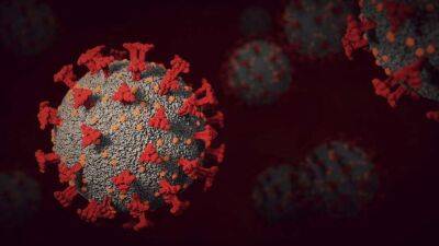 Медики выявили новые заразные штаммы коронавируса, которые грозят третьей волной пандемии - lenta.ua - Украина - Юар - Ухань