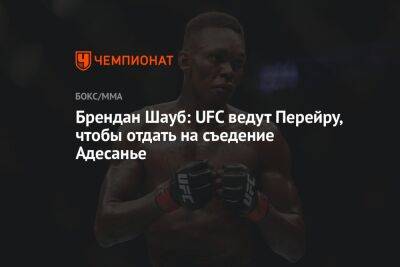 Исраэлем Адесаньей - Алексей Перейрой - Брендан Шауб: UFC ведут Перейру, чтобы отдать на съедение Адесанье - championat.com - Бразилия - Новая Зеландия