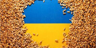 Угроза голода. Польша готова построить терминал для украинского зерна - biz.nv.ua - Украина - Польша - Гданьск