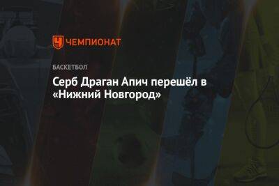 Серб Драган Апич перешёл в «Нижний Новгород» - championat.com - Нижний Новгород