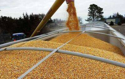 Новый груз кукурузы из Украины будет грузить Bega - obzor.lt - Украина - Литва