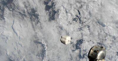 Джонатан Макдауэлл - Новый способ утилизации: на МКС впервые выбросили в космос "пакет" с мусором весом 78 кг (видео) - focus.ua - США - Украина
