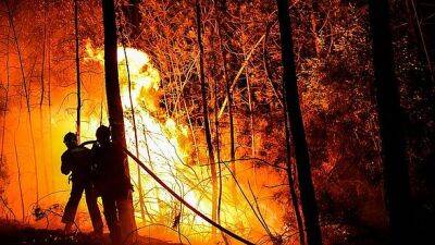 900 пожарных борются с мегапожаром на юге Франции - unn.com.ua - Украина - Киев - Франция - Марсель