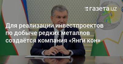 Для реализации инвестпроектов по добыче редких металлов создаётся компания «Янги кон» - gazeta.uz - Узбекистан