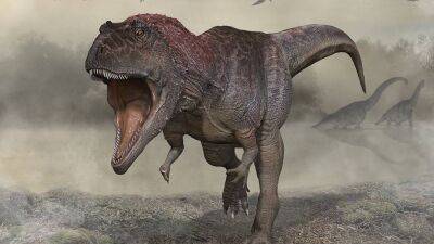 Джордж Мартин - Аргентина: ученые обнаружили новый вид динозавров - ru.euronews.com - Аргентина