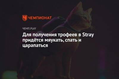 Для получения трофеев в Stray придётся мяукать, спать и царапаться - championat.com