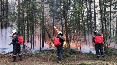 Более 3 миллионов гектаров леса сгорело в Сибири в 2022 году - svoboda.org - Россия - Хабаровский край - респ. Саха - Югра