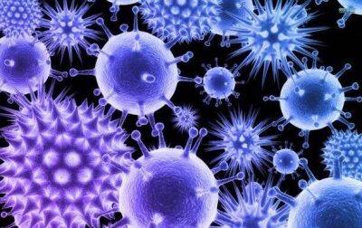 В Китае обнаружили новый опасный вирус - koronavirus.center - Китай - Украина - Китай - провинция Шаньдун