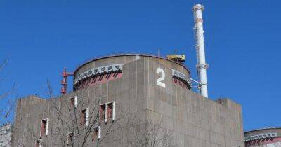 В МАГАТЭ решили, что последний обстрел ЗАЭС не привел к "непосредственной угрозе ядерной безопасности - dsnews.ua - Россия - Украина