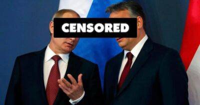 Владимир Путин - Виктор Орбан - Венгрия - Россия отключила нефть Венгрии. Зачем Путин унижает Орбана - focus.ua - Россия - Украина - Венгрия - Чехия - Одесса - Словакия - Война