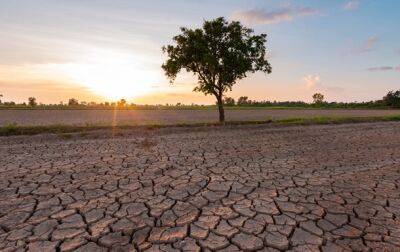 В Европе ожидается самая сильная засуха за последние 500 лет - Еврокомиссия - korrespondent - Украина - Италия - Ес