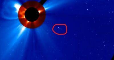 Смертельный номер. Аппарат NASA увидел, как комета врезалась в Солнце (видео) - focus.ua - Украина
