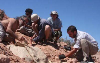 В Аргентине нашли ранее неизвестного бронированного динозавра - korrespondent - Украина - Шотландия - Аргентина