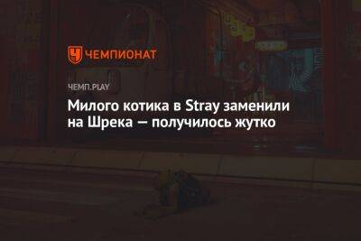 Милого котика в Stray заменили на Шрека — получилось жутко - championat.com