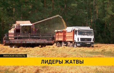 Экспериментальная база Котовского, несмотря на сложность почвы, собирает хороший урожай - ont.by - Белоруссия