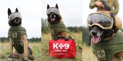 Бронежилеты, защитные очки и сапожки. Пограничники-кинологи получили защитную амуницию для служебных собак - nv.ua - Украина - Польша