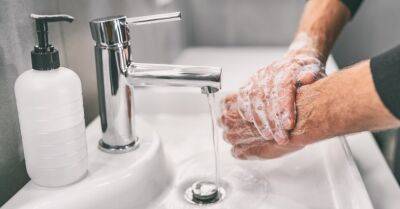 Опрос: 73% жителей Латвии недостаточно долго моют руки - rus.delfi.lv - Латвия