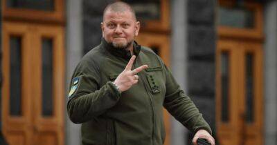 Подрыв тылов и гибкость: Украина с новым оружием меняет военную стратегию, – NYT - dsnews.ua - Россия - Украина - New York - Крым - Херсонская обл.