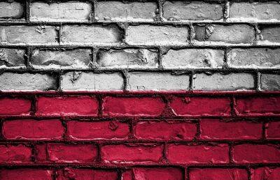 Петр Вавжик - Польша разрабатывает для ЕС концепцию прекращения выдачи виз россиянам - ont.by - Россия - Белоруссия - Польша