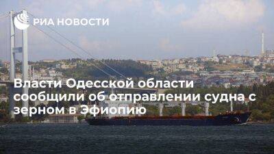 Сергей Шойгу - Максим Марченко - Губернатор Одесской области Марченко: судно с украинским зерном отправилось в Эфиопию - smartmoney.one - Россия - Украина - Одесса - Одесская обл. - Стамбул - Эфиопия - Южный