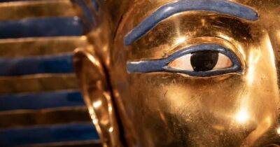Открывший гробницу Тутанхамона археолог, украл сокровища фараона: появились доказательства - focus.ua - Украина - Англия - Египет - Каир