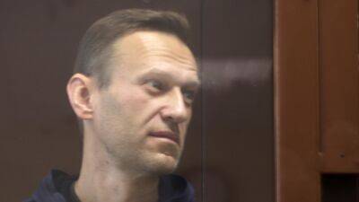 Алексей Навальный - Навального отправили в штрафной изолятор за расстегнутую пуговицу - svoboda.org - Россия - Германия