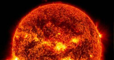 Взрыв темной плазмы на Солнце достигнет Земли 17 августа - focus.ua - Украина - шт.Флорида - шт. Джорджия
