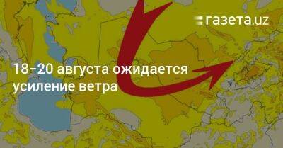 18−20 августа ожидается усиление ветра - gazeta.uz - Узбекистан - Навоийской обл.