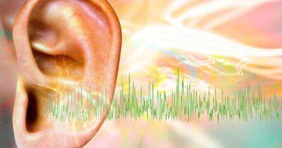 Хронический шум в ушах. Неизлечимое заболевание могут победить с помощью приложения - focus.ua - Украина - Новая Зеландия - county Frontier