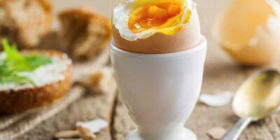 Медики розповіли, чи корисно їсти яйця щодня - lenta.ua - США - Украина