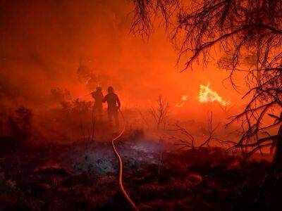 Огромный лесной пожар в Испании уничтожил тысячи гектаров - unn.com.ua - Украина - Киев - Франция - Испания - Португалия - Греция