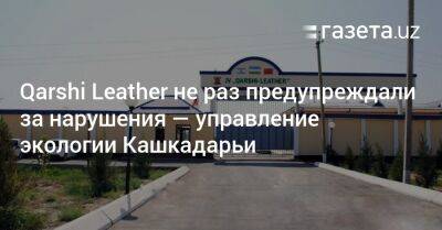 Qarshi Leather неоднократно предупреждали за нарушения — управление экологии Кашкадарьи - gazeta.uz - Узбекистан - Экология