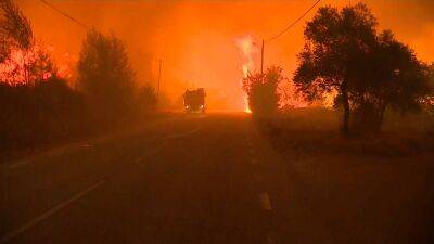 Пожары уничтожают десятки тысяч гектаров западноевропейских лесов - ru.euronews.com - Испания - Португалия - Мадрид